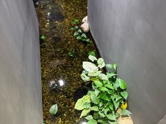 -邈墨茶馆(凤起路店)