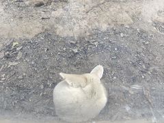 -灵玲国际马戏城