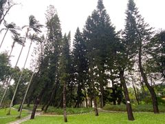 -荔枝公园(福田区)