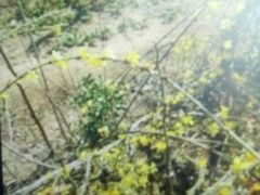 -贮水山儿童公园