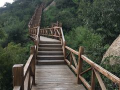 -大岭沟猕猴桃谷风景区