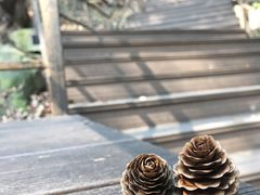 -沂蒙山旅游区云蒙景区(蒙山国家森林公园)