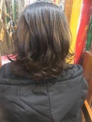 -WD专业烫染设计