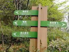 -杭州半山国家森林公园-龙山公园