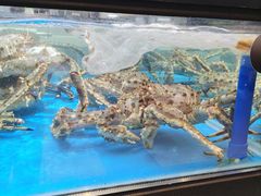 -盒马鲜生(宝地店)