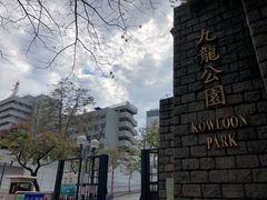 -九龙公园