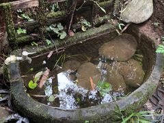 -圣母洞九天玄女宫