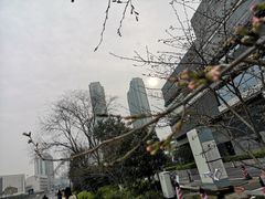 -江苏省苏州实验中学