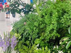 -芙蓉堂(武汉天地店)