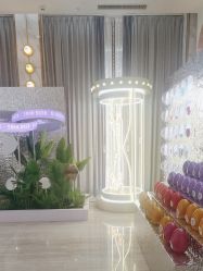 -深圳美莱医疗美容医院