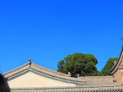 -兰州吐鲁沟国家森林公园