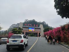 -白云山风景名胜区