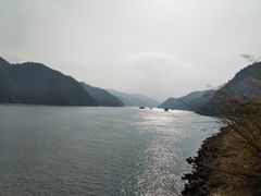 -羚羊峡古栈道森林公园