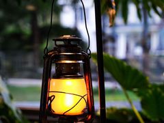 -J Create城市露营咖啡·简餐·宠物(上海动物园店)