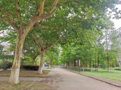 -上海第二工业大学(金海路校区)