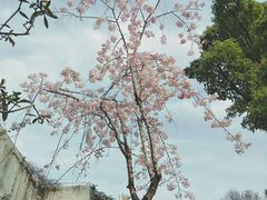 -堤角公园