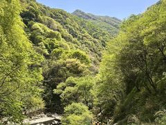 -少华山国家森林公园