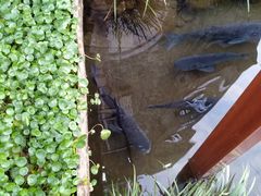 -万景饭店·鱼街农家菜