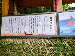 -新安江山水画廊风景区