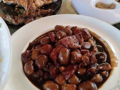 -京北渔家傲