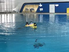 -黄龙魔方运动培训·棒球·橄榄球