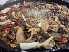 -江川野生菌火锅铜锅鱼(贵清火锅店)
