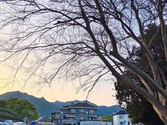 -龙坞茶村