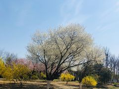 -永定河休闲森林公园