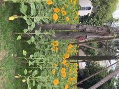 -茅草房·河畔园林火锅