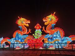-桐乡凤凰湖