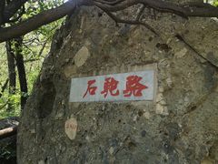 -阳台山自然风景区