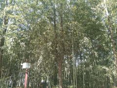-邓小平故里