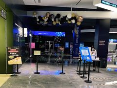 -奥斯卡升龙国际影城(RealD Cinema)