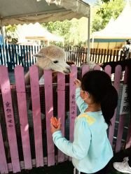 -萌宠亲子动物乐园(槐房万达店)