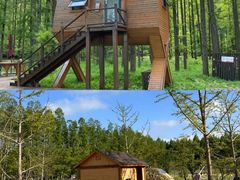 -黄海国家森林公园