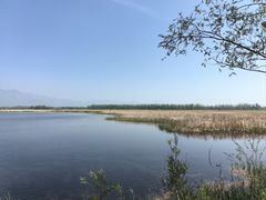 -野鸭湖国家湿地公园