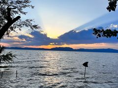 -捞渔河湿地公园