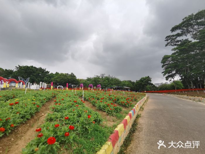 松山湖南湖湾露营营地图片