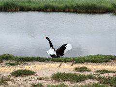 -黑龙江扎龙生态旅游区
