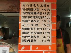 -朝阳东莞大包第一家