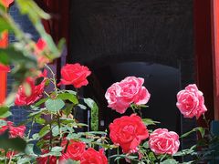 -北京师范大学附属中学