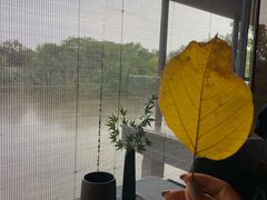 -木守西溪溪隐餐厅