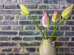 -丽江花间堂·隐泉院