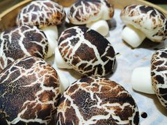 蘑菇包-79号渔船海鲜饭店(华强北店)