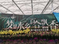 -万顷园艺世界