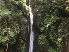 -神农大峡谷景区