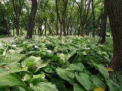 -玲珑塔公园