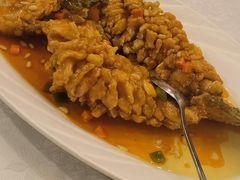 松鼠鸦片鱼-万宝海鲜舫(劳动公园店)