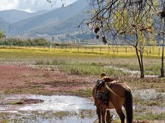-泸沽湖国家级风景名胜区走婚桥