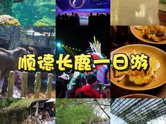 -长鹿旅游休博园